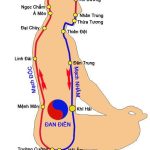 Dịch lý trong Lục nhâm tương ứng với “Nội kinh”