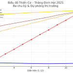 THÁNG ĐINH HỢI (20/11 – 19/12 DL) CÓ GÌ ĐÁNG CHÚ Ý?